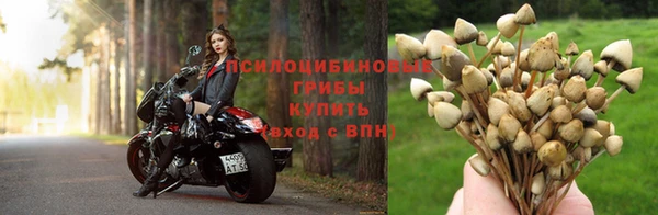 ешки Алексин