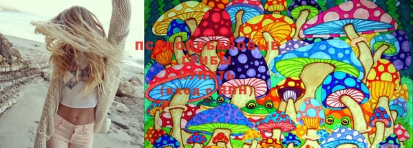 бошки Алексеевка