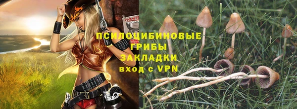 ешки Алексин