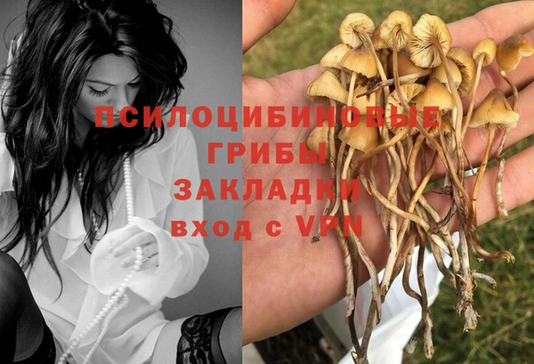 бошки Алексеевка