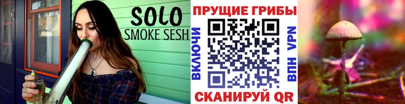 как найти наркотики  Павловская  Галлюциногенные грибы прущие грибы 